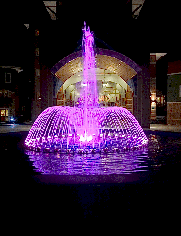 Edora Pool, Fountain Systems, Bubble Wall Fountain Systems, Jumping Water Systems, Water Jet Dome Fountain Systems, Stainless Pump Motor Groups, Musical Dancing Fountain Systems, Fish Line Curtain, Water Bell and Lily Fountain Systems, Nozzles, Automation and Software, Dry Pool Fountain Systems, Volkan Fountain Systems, Pontoon Pond Sprinkler Systems, Underwater Fixtures, Foam Sprinkler Systems, Globe Sprinkler Systems, Pool Side Equipment Ladders, Pool Lamps, Pool Pumps, Pool Filters, Pool Equipment, Pool Chemicals, Cleaning Equipment Robots, Heating Equipment and Dehumidifiers, Water Games, Pool Covers, Valves and PVC Fittings, Olympic Pool Accessories, Massage Pool and Sauna Supplies